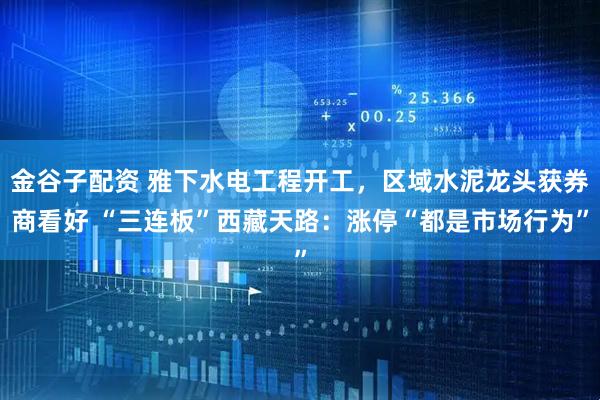 金谷子配资 雅下水电工程开工，区域水泥龙头获券商看好 “三连板”西藏天路：涨停“都是市场行为”