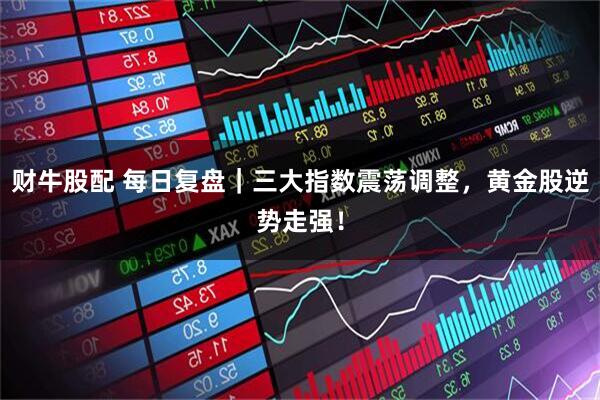 财牛股配 每日复盘｜三大指数震荡调整，黄金股逆势走强！