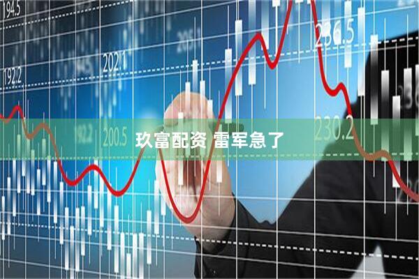 玖富配资 雷军急了